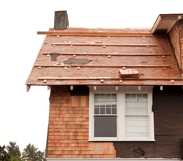 Best Historical Building Siding Restoration  in Livermore, CA